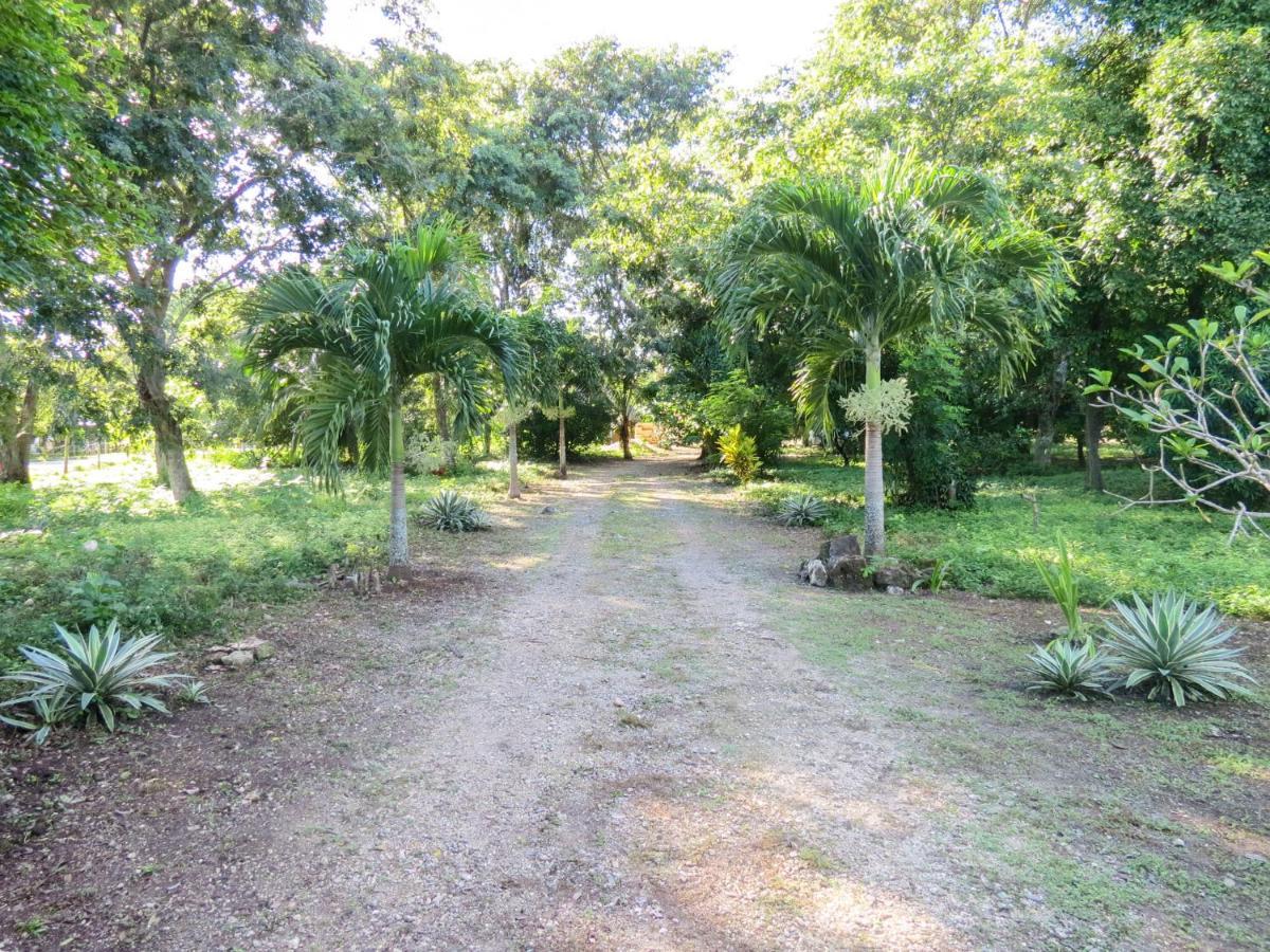 Cabanas Calakmul Conhuas Buitenkant foto