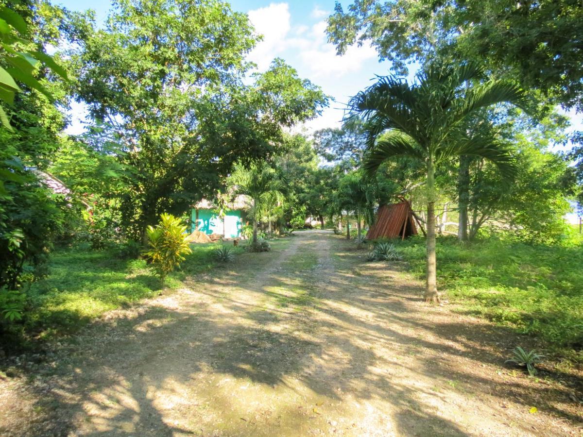 Cabanas Calakmul Conhuas Buitenkant foto